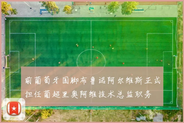 前葡萄牙国脚布鲁诺阿尔维斯正式担任葡超里奥阿维技术总监职务