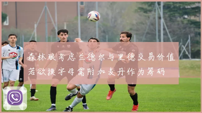 森林狼考虑兰德尔与里德交易价值若欲换字母需附加麦丹作为筹码