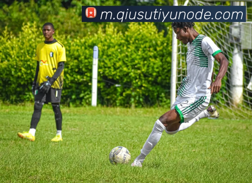 球速体育平台生态图